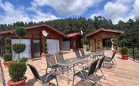 Safi Forest Village